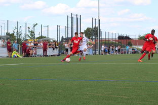 爱游戏在线登录入口-未来足球运动场将实现环保材料全覆盖，绿色发展理念深入人心，室外足球场的运营方案